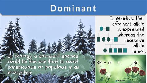 dominant .
